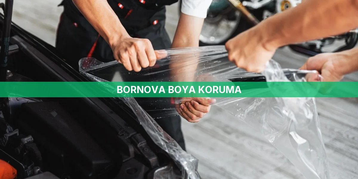 Bornova Boya Koruma